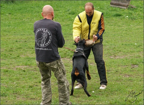 Training in Prague 10/2007